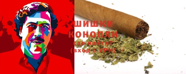 ПСИЛОЦИБИНОВЫЕ ГРИБЫ Богданович