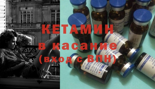 сатива Белокуриха