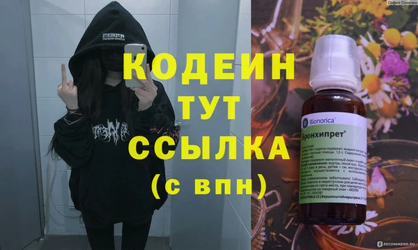 ПСИЛОЦИБИНОВЫЕ ГРИБЫ Богданович