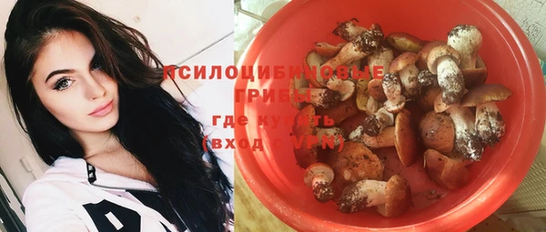сатива Белокуриха