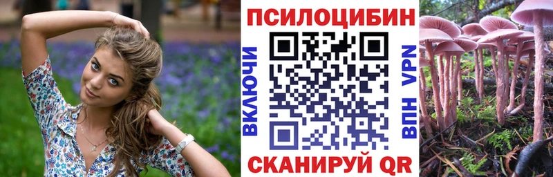 Галлюциногенные грибы GOLDEN TEACHER  Купить где  Ряжск 
